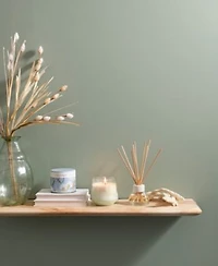 Illume Beautifully Done Candle Diffuser Collection
