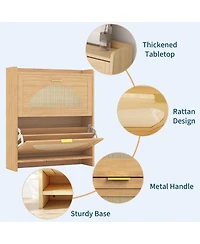 Homfan 2 Flip-Drawer Shoe Storage Cabinet