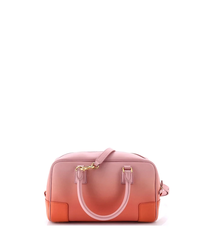 Pre-Owned Loewe 23 Amazona Bag Degrade Leather