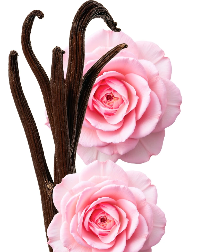 Parfums de Marly 4-Pc. Delina Exclusif Parfum Gift Set