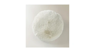 Z Gallerie Shay Faux Fur Round Pillow 18"