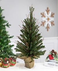 Northlight 18" Warsaw Twig Artificial Christmas Tree in Burlap Base - Unlit
