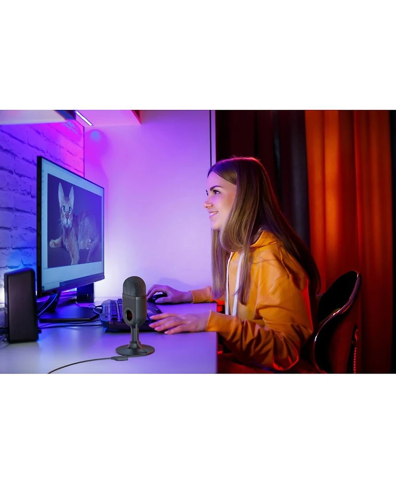 SmallRig simorr Wave U1 Usb Condenser Microphone (Black)