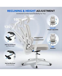 gaomon Ergonomic Office Chair with Adjustable Lumbar Support, High-Back Desk Chair with Headrest