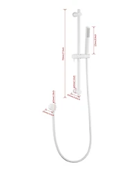 Busdays Stainless Steel Slide Bar Grab Rail with Handheld Shower Head and 69-Inch Hose, Shower Hand Sprayer Set