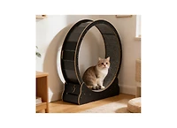 Zeus and Ruta 48 Inch Cat Exercise Wheel for Indoor Cats up to 28 lbs Carpeted Treadmill with Locking Mechanism