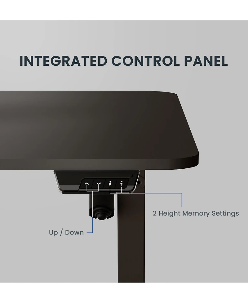 FlexiSpot EC2 48"x24" Electric Height-Adjustable Standing Desk