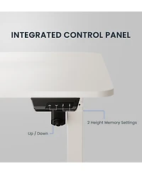 FlexiSpot EC2 48"x24" Electric Height-Adjustable Standing Desk
