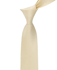 Calvin Klein Men's Galica Stripe Pattern Tie