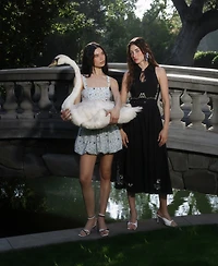 Avec Les Filles Women's Tie Neck Collared Midi Dress