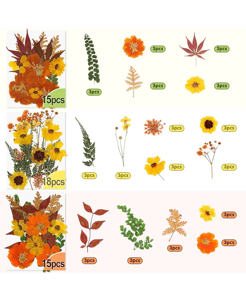 Gnuadz 100+ Real Dried Pressed Flowers Leaves Florals Tweezer Candle Scrapbooking Thanksgiving Gift