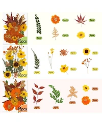 Gnuadz 100+ Real Dried Pressed Flowers Leaves Florals Tweezer Candle Scrapbooking Thanksgiving Gift