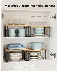 Gnuadz Stackable Expandable Cabinet Organizer Metal Wood Spice Rack