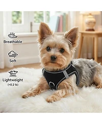 Aronkl Step-in Dog Harness Breathable Mesh Reflective Soft Padded for Small Dogs Cats