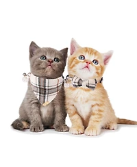 Aronkl Floral Cat Collar with Removable Bowtie Bandana Bell Breakaway Adjustable Cute Flower Kitten