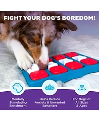 Aronkl Paw N Play Interactive Dog Puzzle Level 2 Intermediate Enrichment Treat Feeder Slow Eating Mental Stimulation