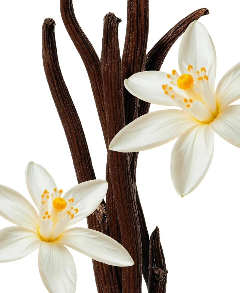 Parfums de Marly Althair Scented Refill for Home Diffuser, 4 oz.