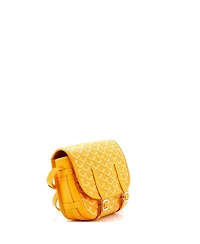 Pre-Owned Goyard Pm Belvedere Messenger Bag Coated Canvas