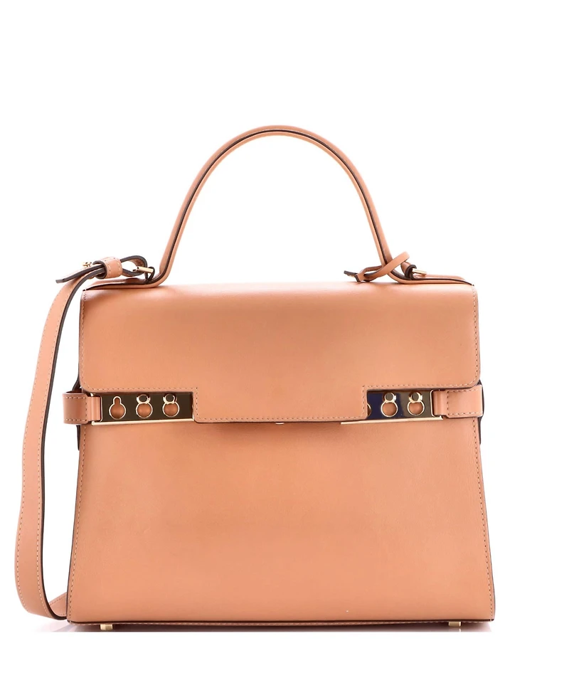 Pre-Owned Delvaux Mm Tempete Top Handle Bag Leather