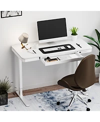 FlexiSpot EW2 48"x24" Electric Height-Adjustable Desk with Spacious Drawer - Quick Install