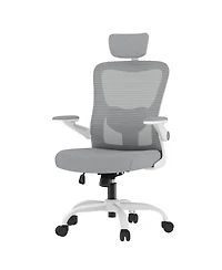 Flexispot OC1 Ergonomic Office Chair with Adjustable Headrest and 3D Arms