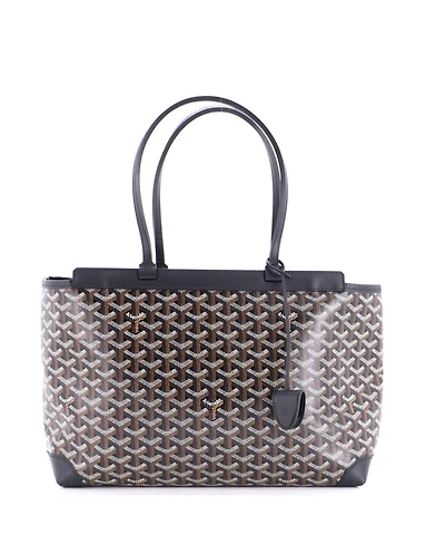 Pre-Owned Goyard Pm Bellechasse Bag Coated Canvas