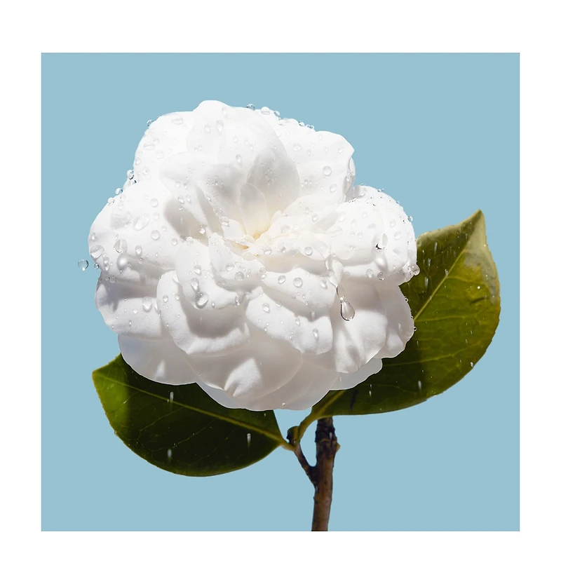 CHANEL Hydra Beauty Micro Sérum Lèvres Intense Replenishing Hydration Tendre Tube, 0.37 oz.