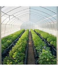 Sugift 24' x 100' Plastic Sheeting, 6 Mil Thick, for Crawl Space and Multi-Purpose Use