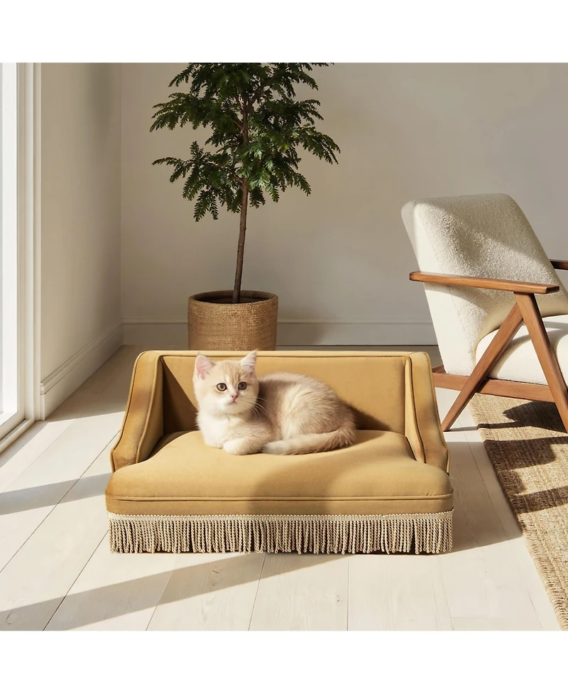 Aostirmotor Performance Velvet Princess Pet Bed Sofa with Fringe Skirt by Duchess,Gold Yellow