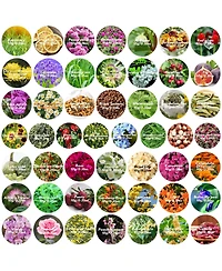 Gnuadz 50 bags Dried Flowers Herbs Kit