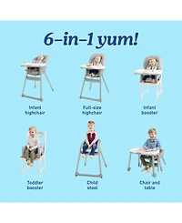 Graco Baby and Toddler Table2Table Lx 6-in-1 Highchair