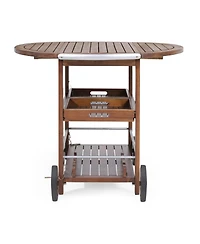 Flynama Modern Industrial Wood and Aluminum Bar Cart with Drop Leaf