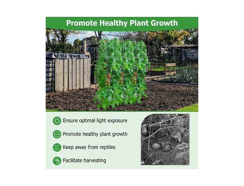 Lucky One 71 x 71 Inch U-Shaped Garden Trellis for Climbing Plants, Tall Arched Frame