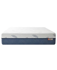 Noctua Wren 12" Zoned Hybrid Cushion Firm Tight Top Mattress