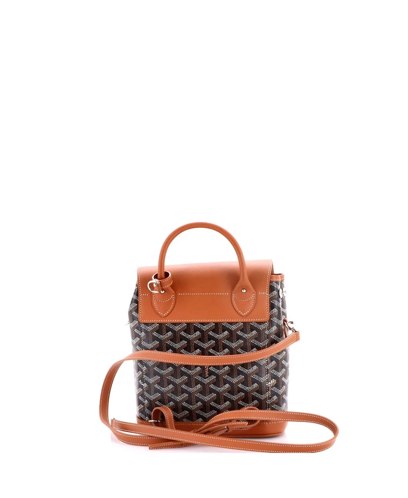 Pre-Owned Goyard Mini Alpin Backpack Coated Canvas