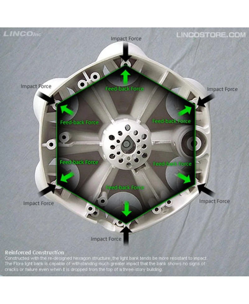 Linco Flora Fluorescent Light Bank