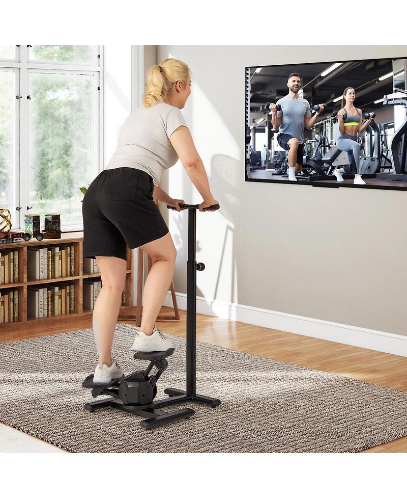 Fitness Stair Stepper with Twist Motion, Home Workout Exercise Equipment-Black