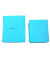 Pre-Owned Tiffany & Co Platinum Diamond Soleste Pendant