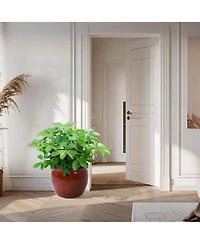 Clihome Handmade Ceramic Plant Pots, Indoor & Outdoor Flower Pots for Tables,Breathable Clay with Drainage Hole