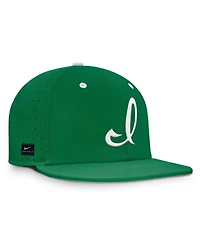 Nike Men's Green Iowa Hawkeyes Dugout True Dri-fit Fitted Hat