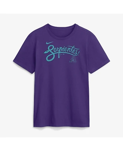 Nike Men's Purple Arizona Diamondbacks City Connect Wordmark T-Shirt