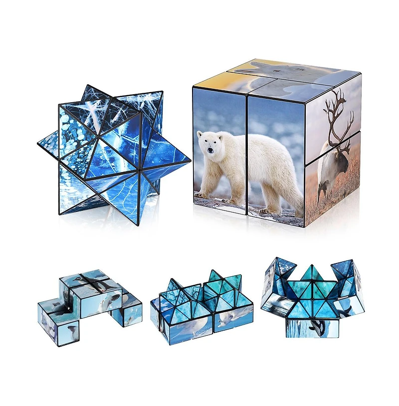 Bruce & Shark 2-in-1 North and South Poles Fidget Cube - Folds into Star, Cube & Rectangle