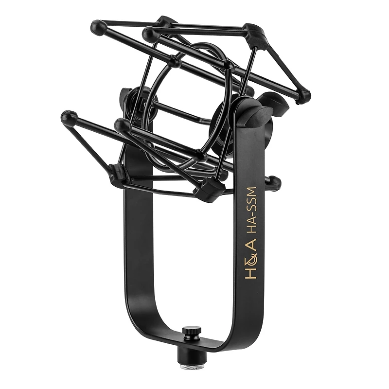 Electro-Voice RE20 Variable-d Dynamic Cardioid Mic - HandA Shock Mount, Cloud Cloudlifter Cl-1 Activator, Broadcast Arm with Xlr Cable