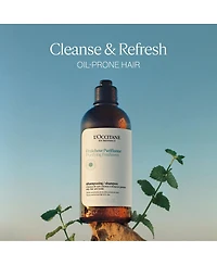 L'Occitane Purifying Freshness Shampoo fl oz