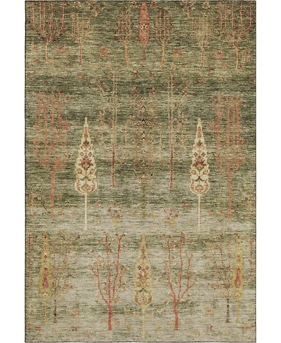 Addison Mayfield AMF1922 3'x5' Area Rug