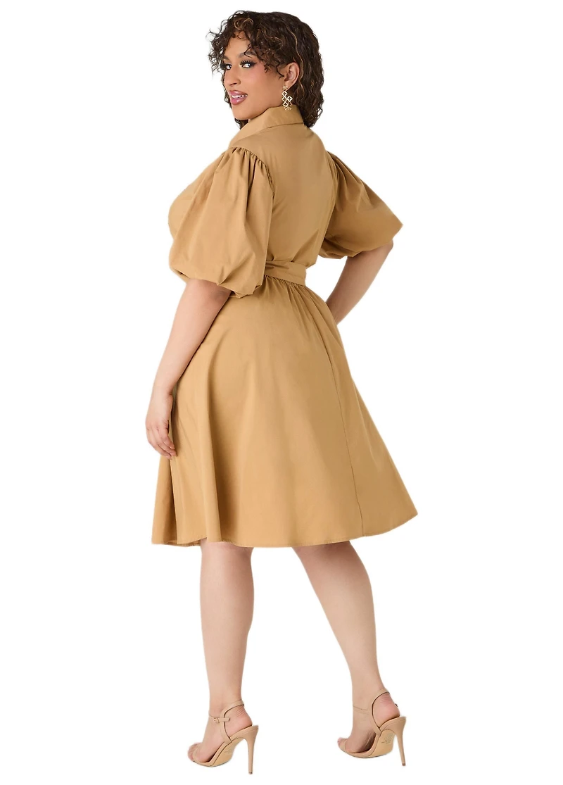 Ashley Stewart Women's Crochet Panel A Line Shirtdress