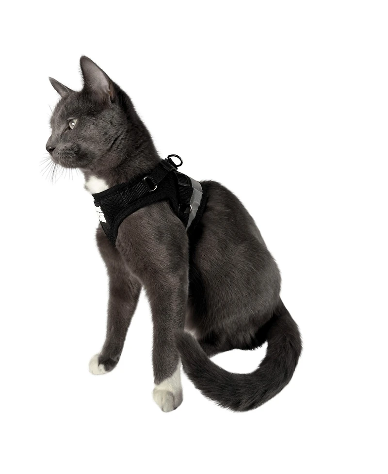 Travel Cat The True Adventurer Reflective Harness Leash Set