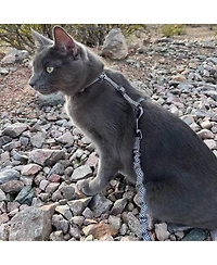 Travel Cat The Day Tripper Adjustable H-Style Harness and Bungee Leash Set