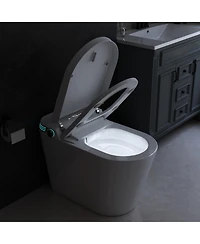 Casainc Tankless Smart Bathroom Fixture with Powerful Flush and Multi-Function Cleaning Modes