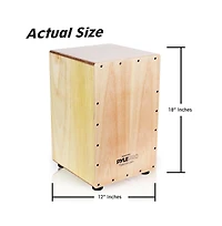 Pyle Stringed Jam Cajon